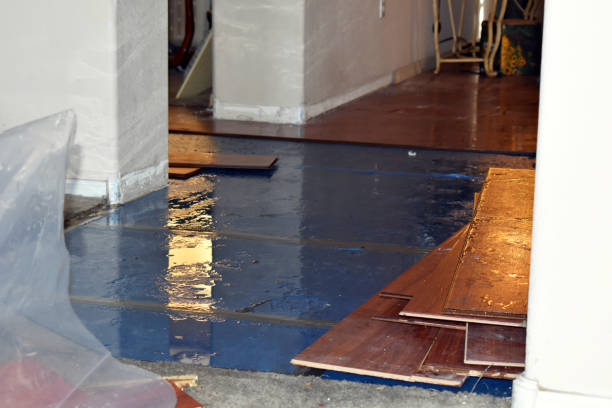 Professional Flood Damage Repair technician working in Keller, WA